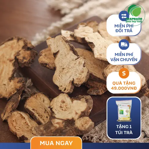 Hình ảnh bạch truật sấy khô chất lượng cao