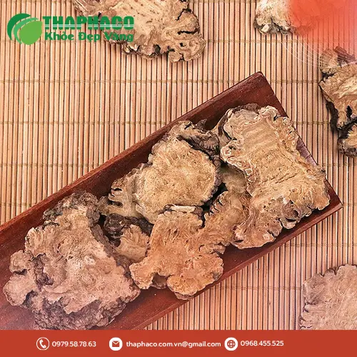 Bạch Truật khô đã được thái lát sẵn