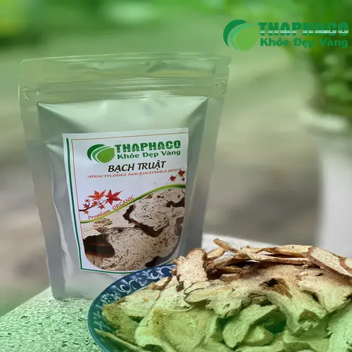 Bạch Truật hỗ trợ an thai
