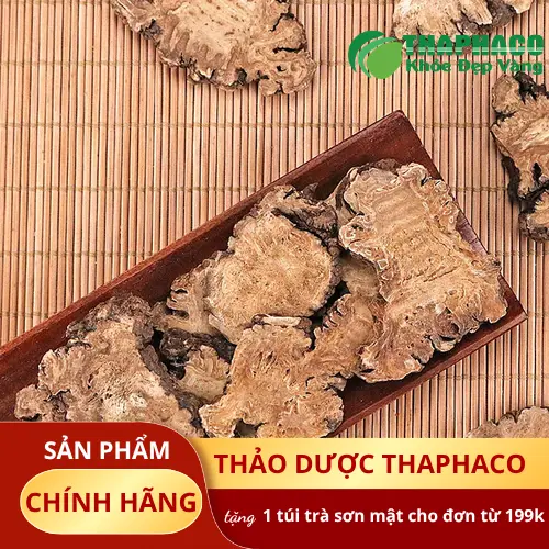 Bạch Truật khô tại THAPHACO