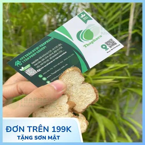 Bạch Truật khô chất lượng được cung cấp bởi THAPHACO