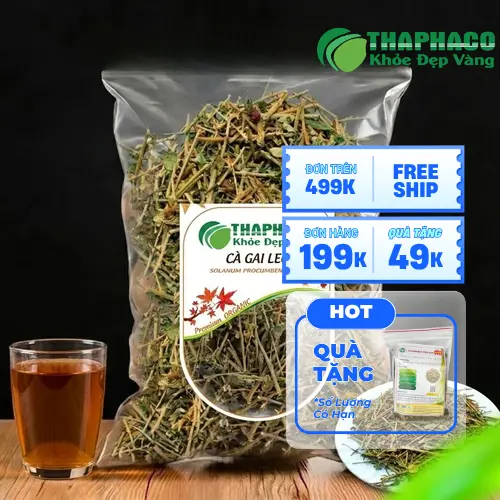 Hình ảnh cây cà gai leo với hoa và lá xanh