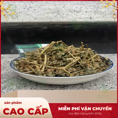 Hình ảnh các bộ phận của cây cà gai leo, bao gồm thân, lá và quả