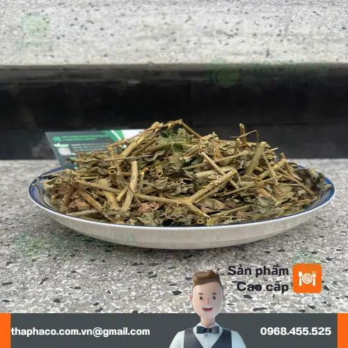 Cà gai leo khô được phơi và cắt nhỏ