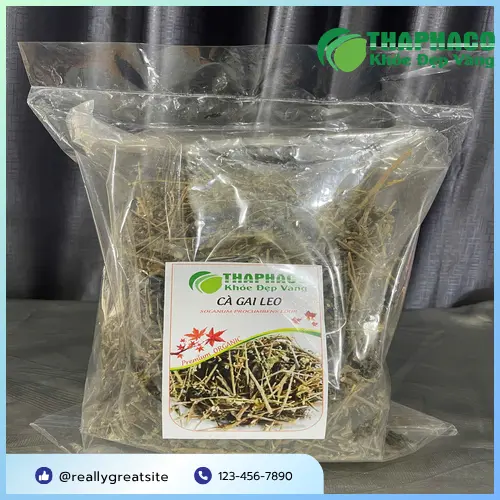 Quy trình sấy khô cà gai leo tại THAPHACO