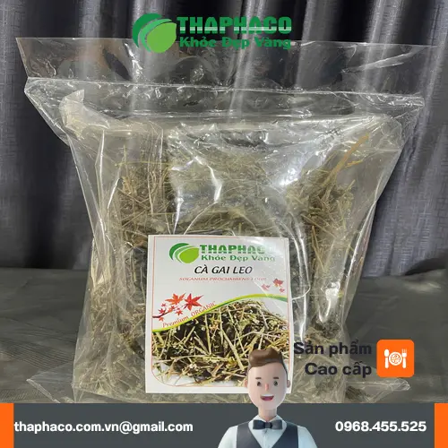 Hình ảnh người đang uống trà cà gai leo, thể hiện sự thư giãn và chăm sóc sức khỏe