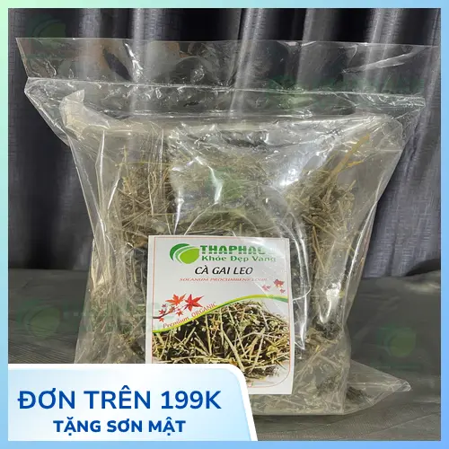 Pha trà cà gai leo sấy khô đúng cách
