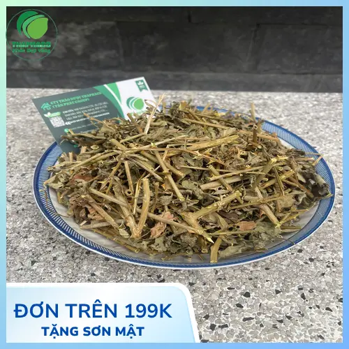 Nước cà gai leo đã sắc trong cốc