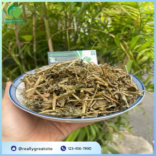 Thảo dược cà gai leo khô tự nhiên
