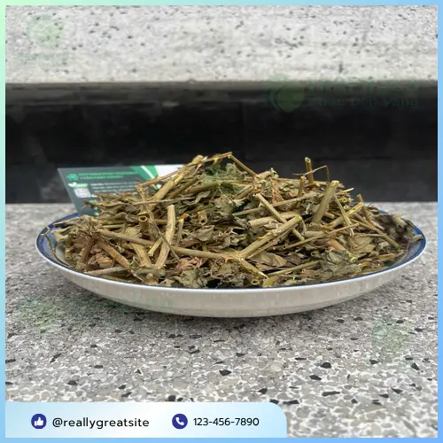 Pha trà cà gai leo và thời điểm uống thích hợp.
