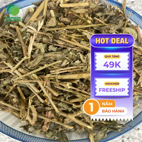 Mua cà gai leo sấy khô tại THAPHACO TP.HCM