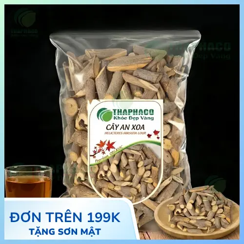 Cây an xoa tự nhiên với lá và hoa đặc trưng