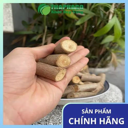 Cây An Xoa khô - dược liệu tự nhiên