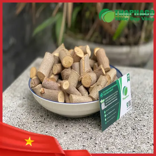 Công dụng hỗ trợ của cây An Xoa sấy khô THAPHACO