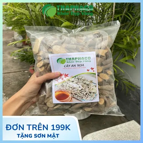 Cây An Xoa sấy khô THAPHACO chất lượng