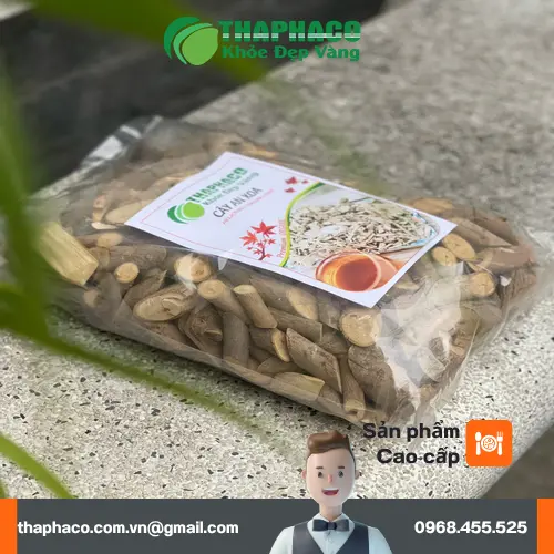 Quả an xoa đặc trưng, có hình dạng như con sâu róm