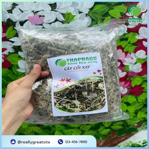 Quy trình phơi sấy cây cối xay khô đạt chuẩn