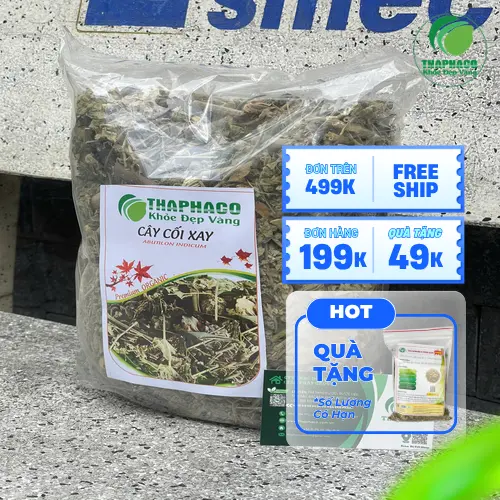 Công dụng hỗ trợ sức khỏe của cây cối xay khô