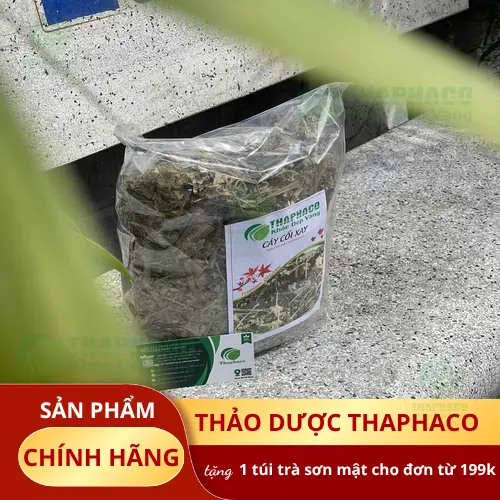THAPHACO - Địa chỉ uy tín cung cấp cây cối xay khô tại TP.HCM