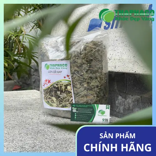Hình ảnh toàn bộ cây cối xay với thân, lá, hoa.
