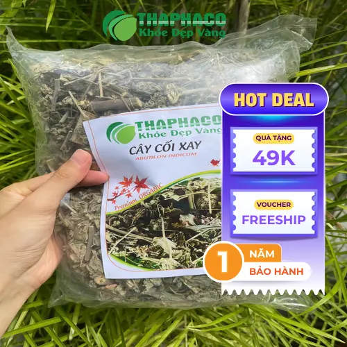 Hướng dẫn sắc nước cây cối xay khô để sử dụng hàng ngày