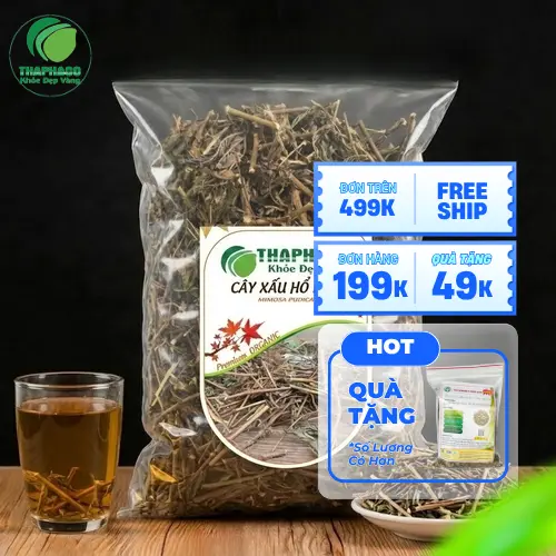 Hình ảnh cây xấu hổ (mắc cỡ)