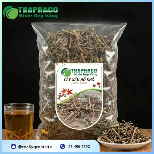 Cây xấu hổ có khả năng hỗ trợ an thần và thư giãn, có thể gây buồn ngủ