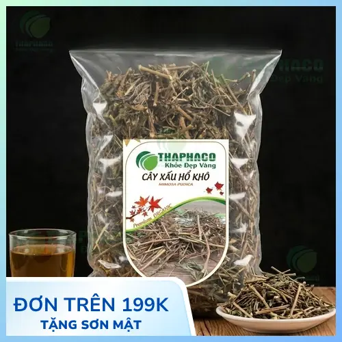 Cây xấu hổ còn gọi là cây mắc cỡ hoặc cây trinh nữ