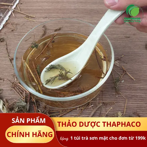 Phân tích có nên uống cây xấu hổ khô hằng ngày không