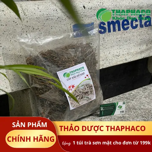 Hoạt chất trong cây xấu hổ có thể giúp thư giãn hệ thần kinh, hỗ trợ giấc ngủ
