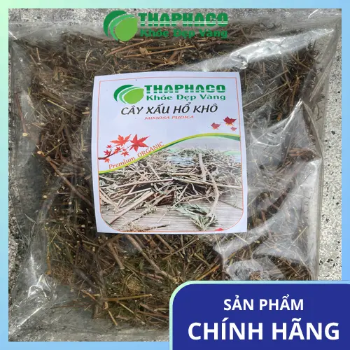 Đối tượng cần thận trọng khi dùng cây xấu hổ