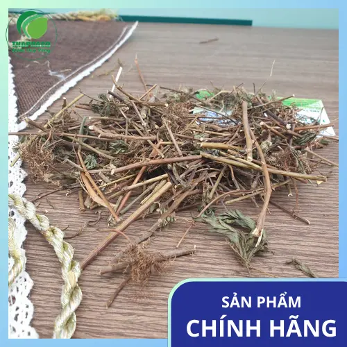 Lưu ý khi sử dụng cây xấu hổ để tránh buồn ngủ, đặc biệt cho người lái xe
