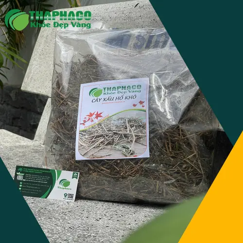 Tham vấn chuyên gia trước khi dùng thảo dược