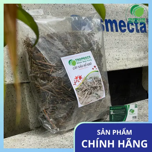 Cây xấu hổ được phơi khô và đóng gói cẩn thận tại THAPHACO