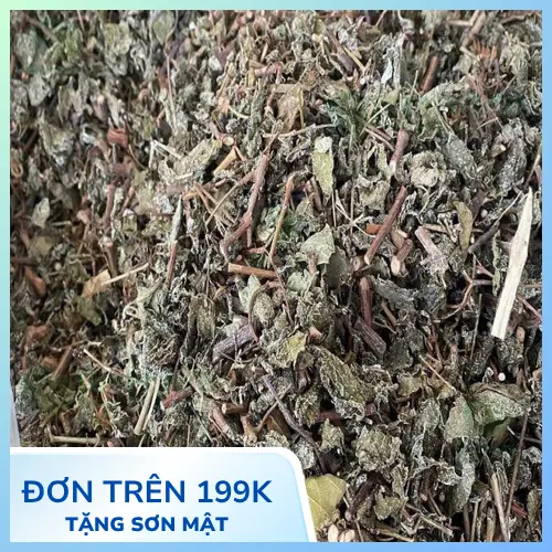 Chè dây khô bị nấm mốc và các dấu hiệu nhận biết