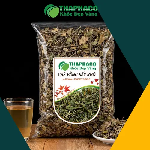 Hình ảnh cây chè vằng tươi, nguồn gốc tự nhiên tại THAPHACO