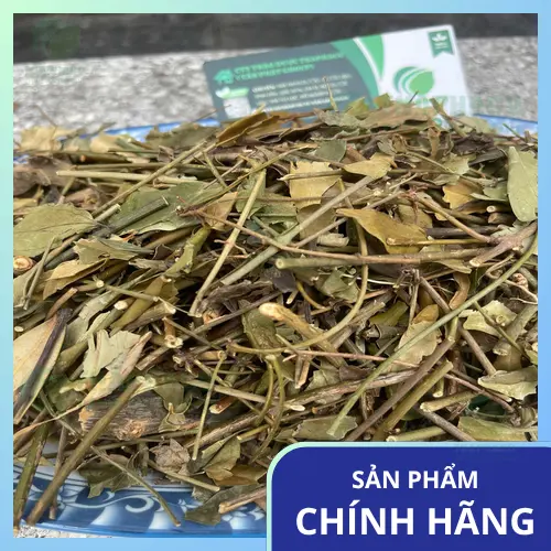 Chè vằng thanh nhiệt, lợi sữa