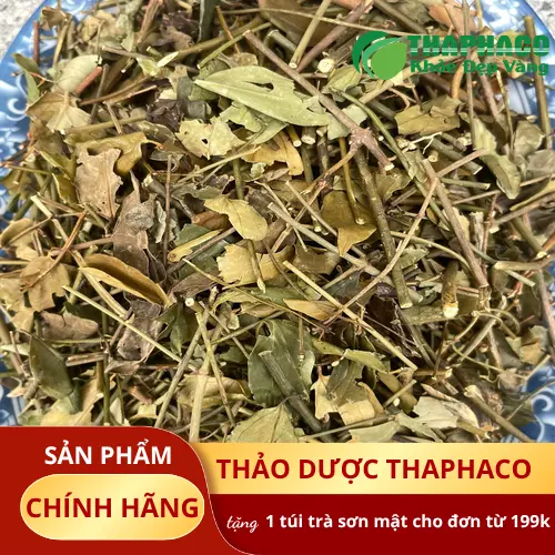 Công dụng hỗ trợ của Chè Vằng sấy khô cho phụ nữ sau sinh