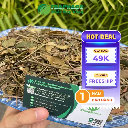 Pha trà vằng đúng cách