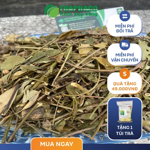 Cách pha chè vằng khô đơn giản và tiện lợi