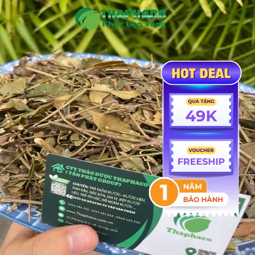 Lưu ý khi sử dụng chè vằng khô an toàn