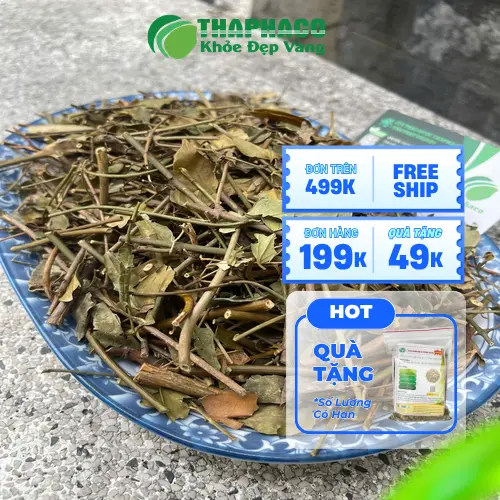 Thảo dược THAPHACO cam kết chất lượng