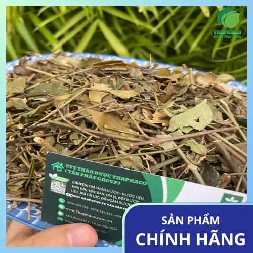 Sản phẩm chè vằng sấy khô chất lượng từ THAPHACO