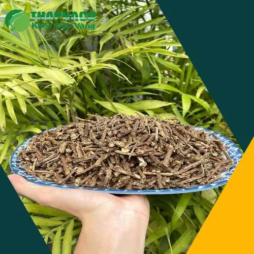 Thân Dây Thần Thông Phơi Khô