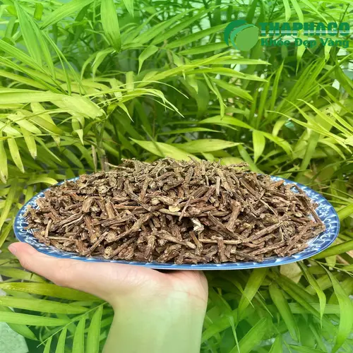 Dây Thần Thông Khô được sơ chế và thái lát tại THAPHACO