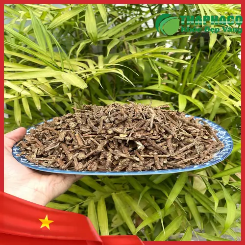 Quy trình phơi và sấy dây thần thông tại THAPHACO