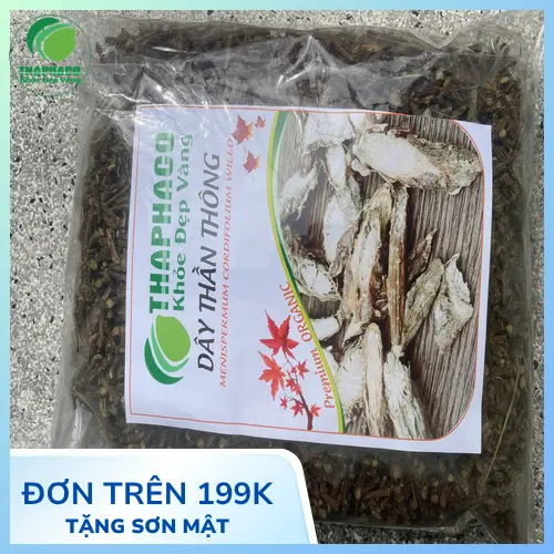 Kiểm tra định kỳ Dây Thần Thông khô để phát hiện sớm dấu hiệu hư hỏng