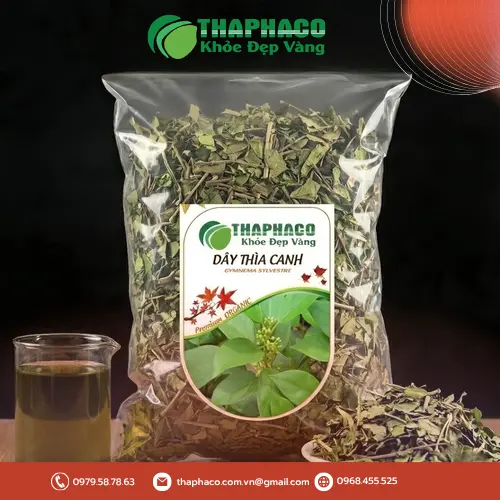 Cây Dây Thìa Canh khô tại THAPHACO