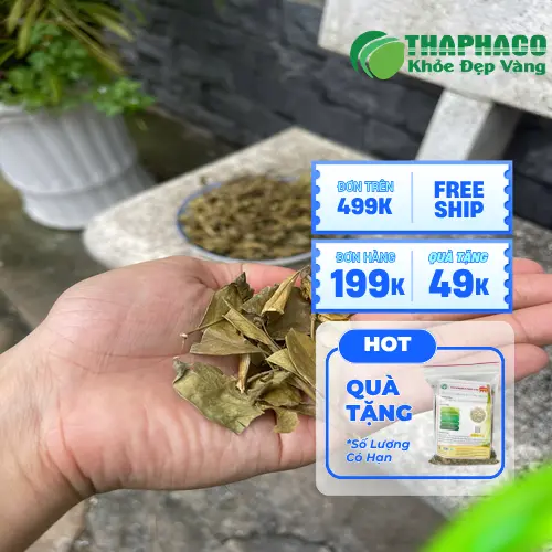 Dây Thìa Canh hỗ trợ kiểm soát đường huyết thông qua việc giảm hấp thu đường và hỗ trợ sản xuất insulin.