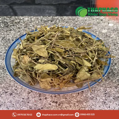 Quy trình sản xuất Dây Thìa Canh Sấy Khô THAPHACO